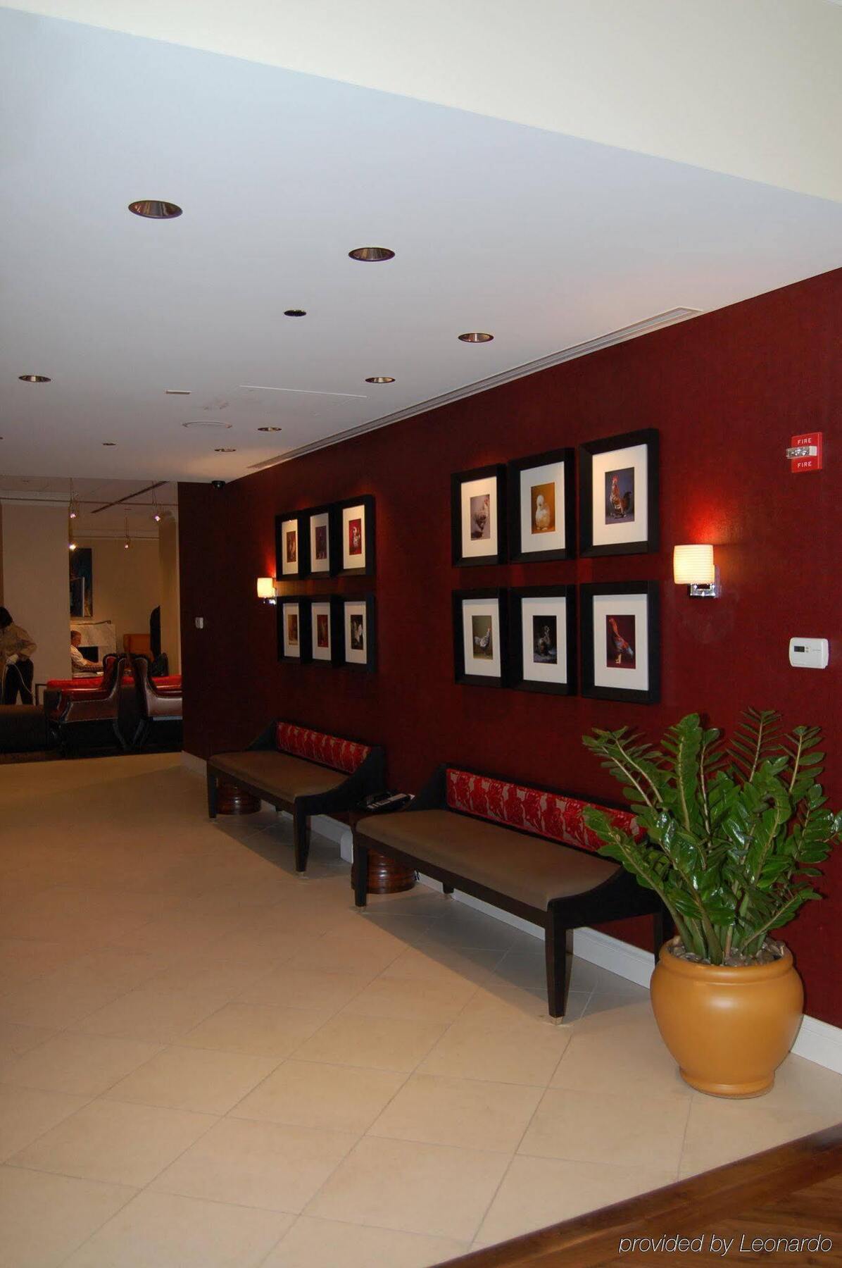Holiday Inn Express Chicago - Magnificent Mile By Ihg Dış mekan fotoğraf